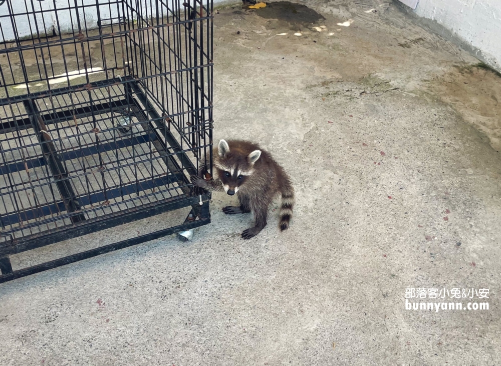 慢吞吞農場