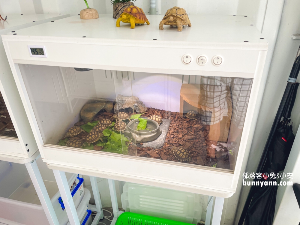 慢吞吞農場
