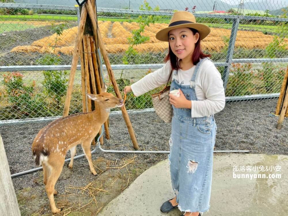 宜蘭「星寶蔥體驗農場」自己拔蔥又能DIY蔥餅也太好玩