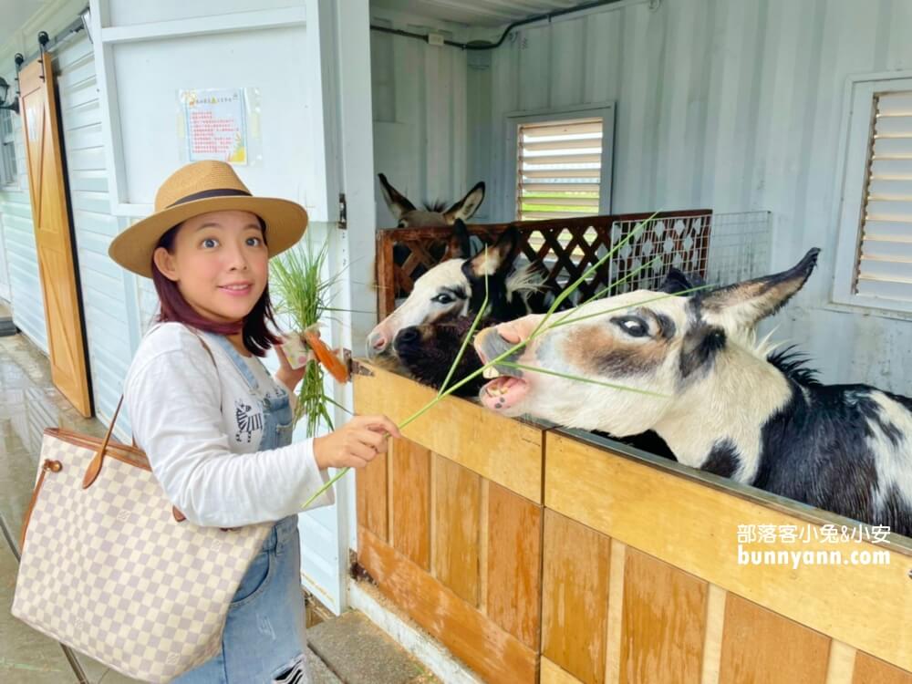 【星寶鄉間小路農場】來餵迷你驢、梅花鹿，自己做蔥派DIY真有趣