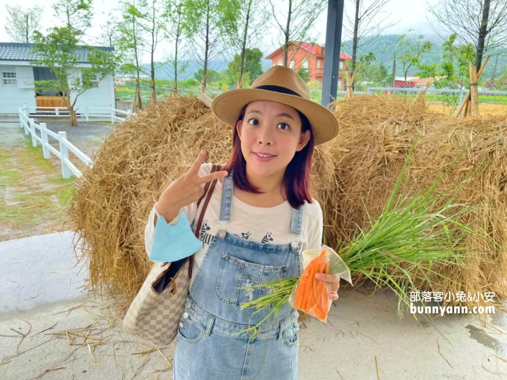 宜蘭「星寶蔥體驗農場」自己拔蔥又能DIY蔥餅也太好玩
