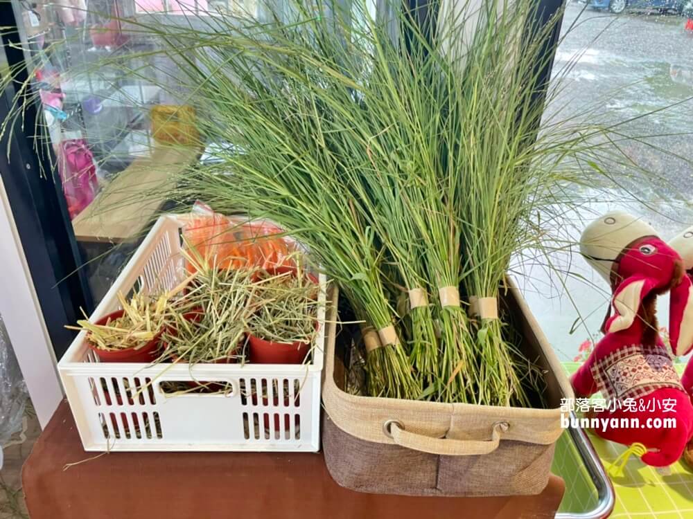 宜蘭「星寶蔥體驗農場」自己拔蔥又能DIY蔥餅也太好玩