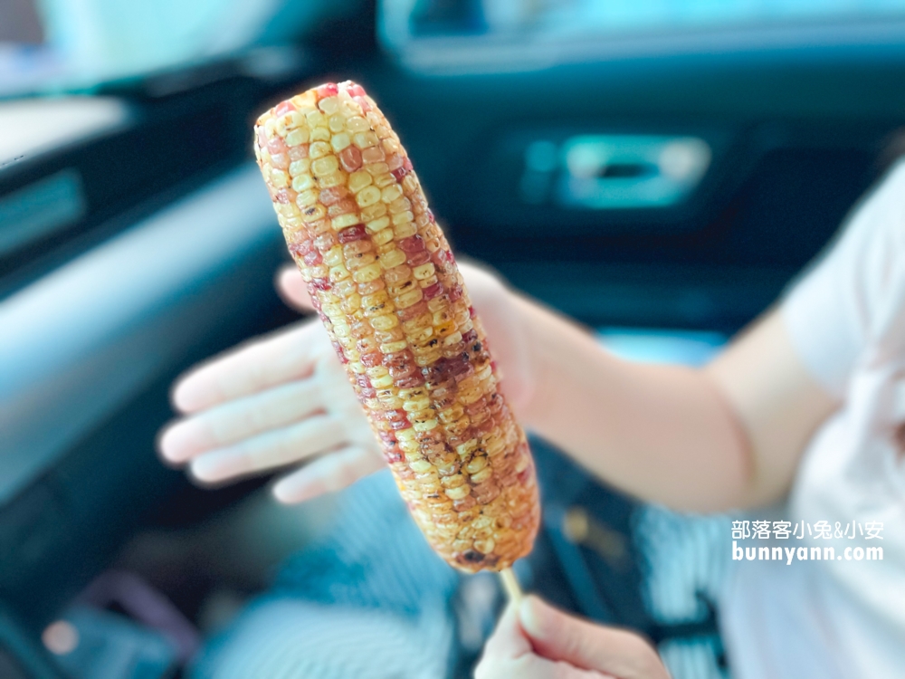 鎮瀾宮廟旁古早味烤玉米