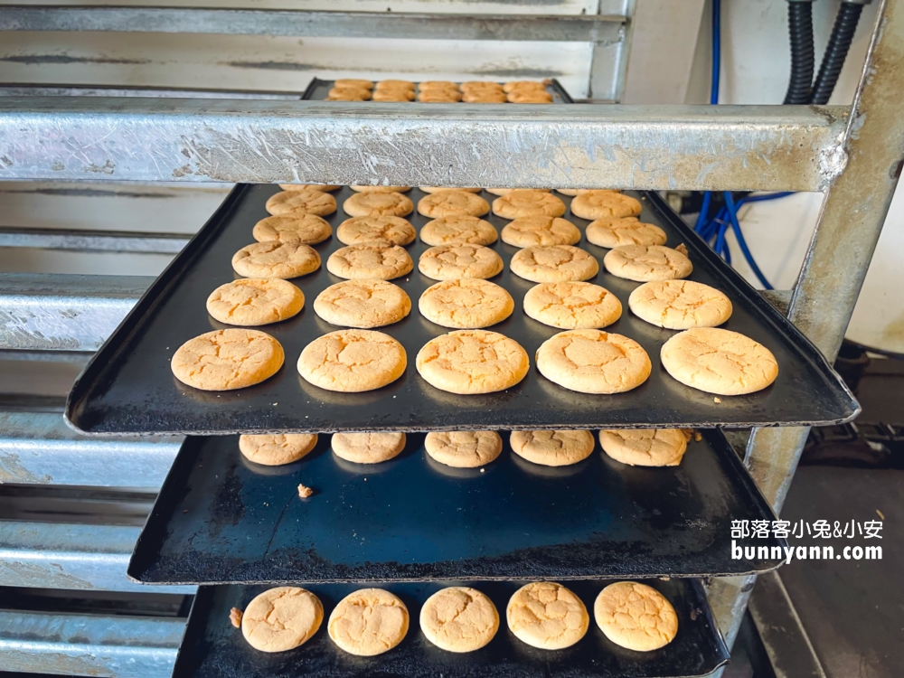 爆紅草莓夾心餅乾這裡買！嘉義成功手工餅乾詳細資訊＋地址全攻略