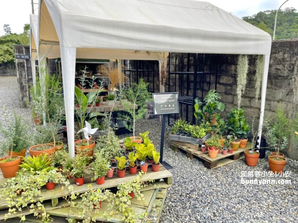 宜蘭礁溪逗走複合創意空間，戶外野餐耍廢地點，美味窯烤PIZZA必點