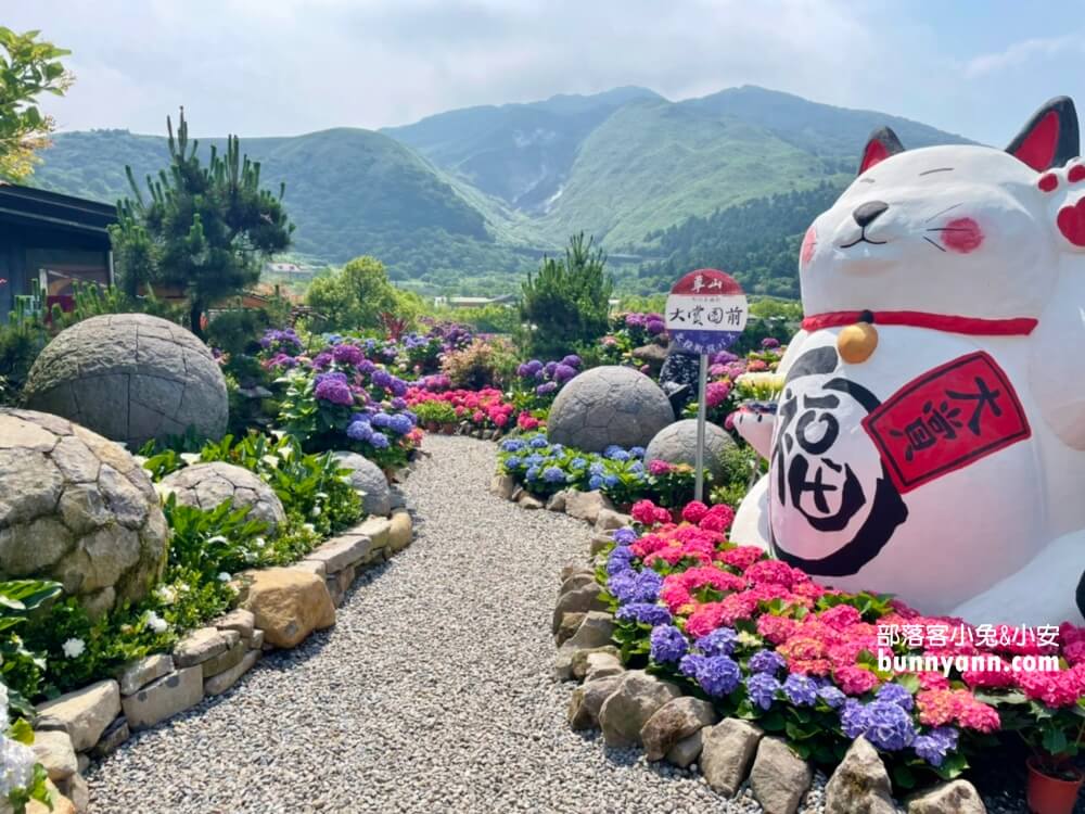 竹子湖「大賞園」繽紛繡球花田，IG打卡夢幻花海超美!!