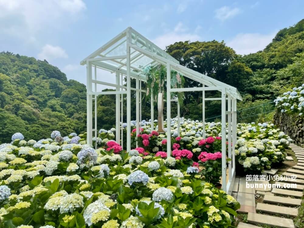 竹子湖超美「大梯田花卉生態農園」繡球花與門票優惠整理