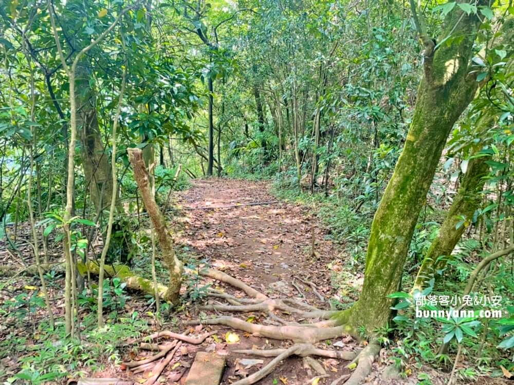 陽明山野溪溫泉》下七股野溪溫泉，十分鐘泡到夢幻牛奶湯，登山肉腳也能來