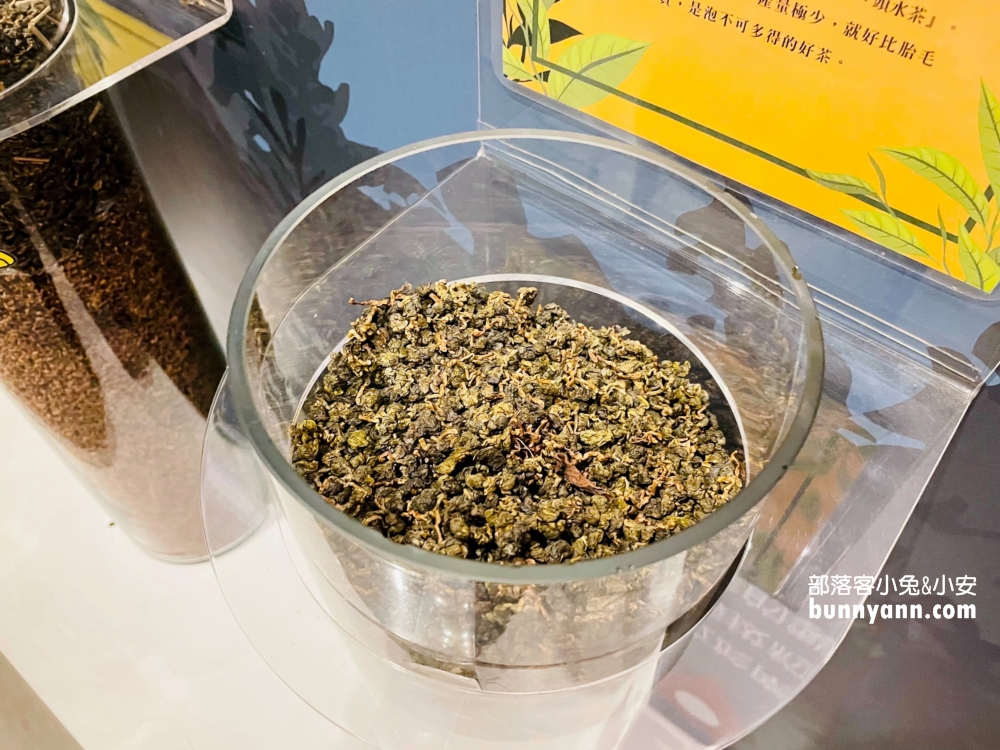 南投景點》茶二指故事館，大家一起來茶園找茶(門票資訊)