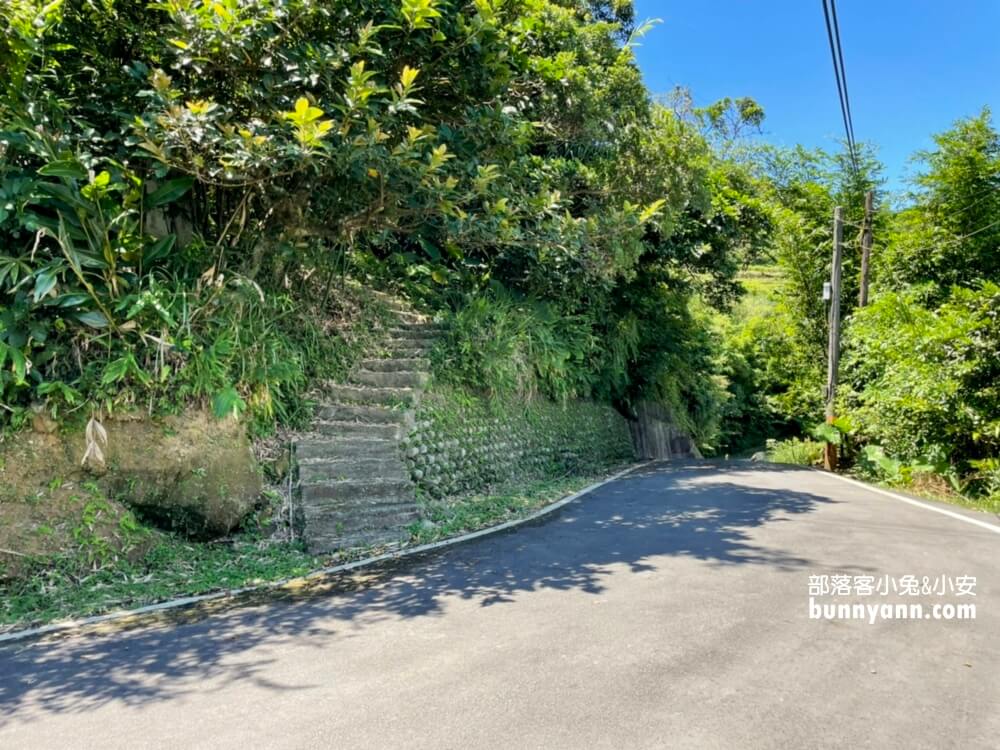 桃源谷步道內寮線，半小時攻頂山陵線，眺望北台灣最美大草原