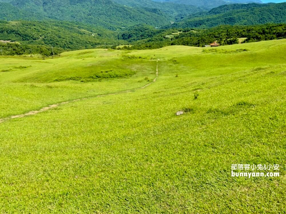 桃源谷步道內寮線，半小時攻頂山陵線，眺望北台灣最美大草原