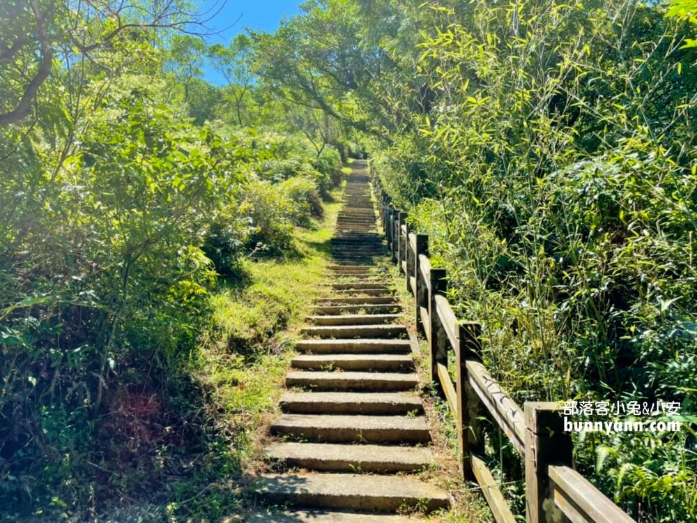 桃源谷步道內寮線，半小時攻頂山陵線，眺望北台灣最美大草原
