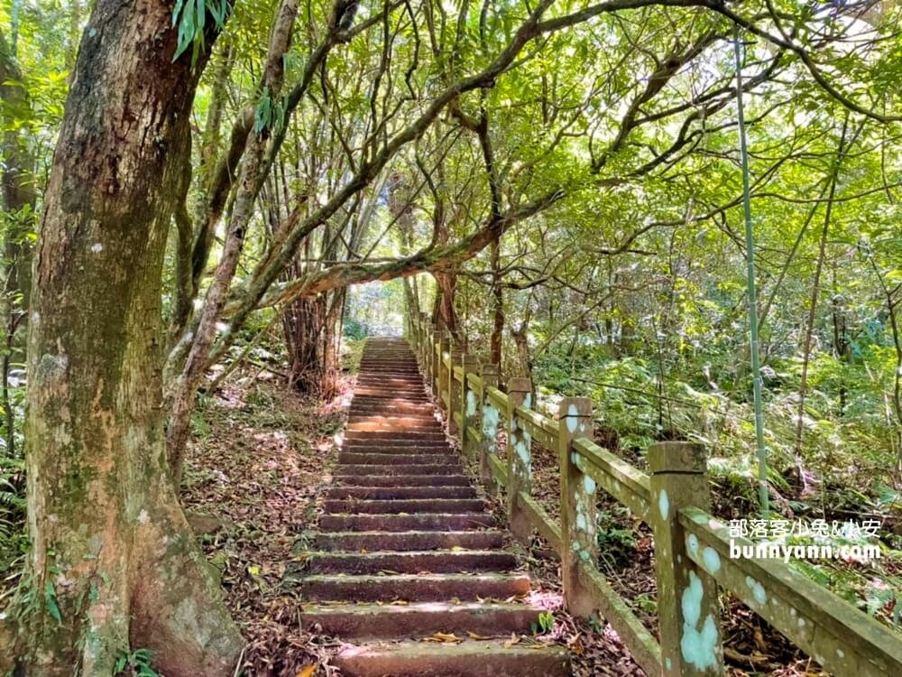 桃源谷步道內寮線，半小時攻頂山陵線，眺望北台灣最美大草原