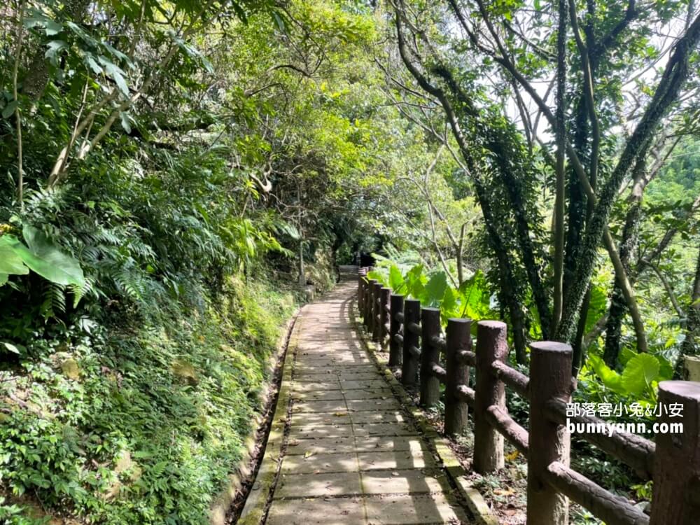 基隆【七堵泰安瀑布】來回大約30分鐘，終點是沁涼無比的森林瀑布