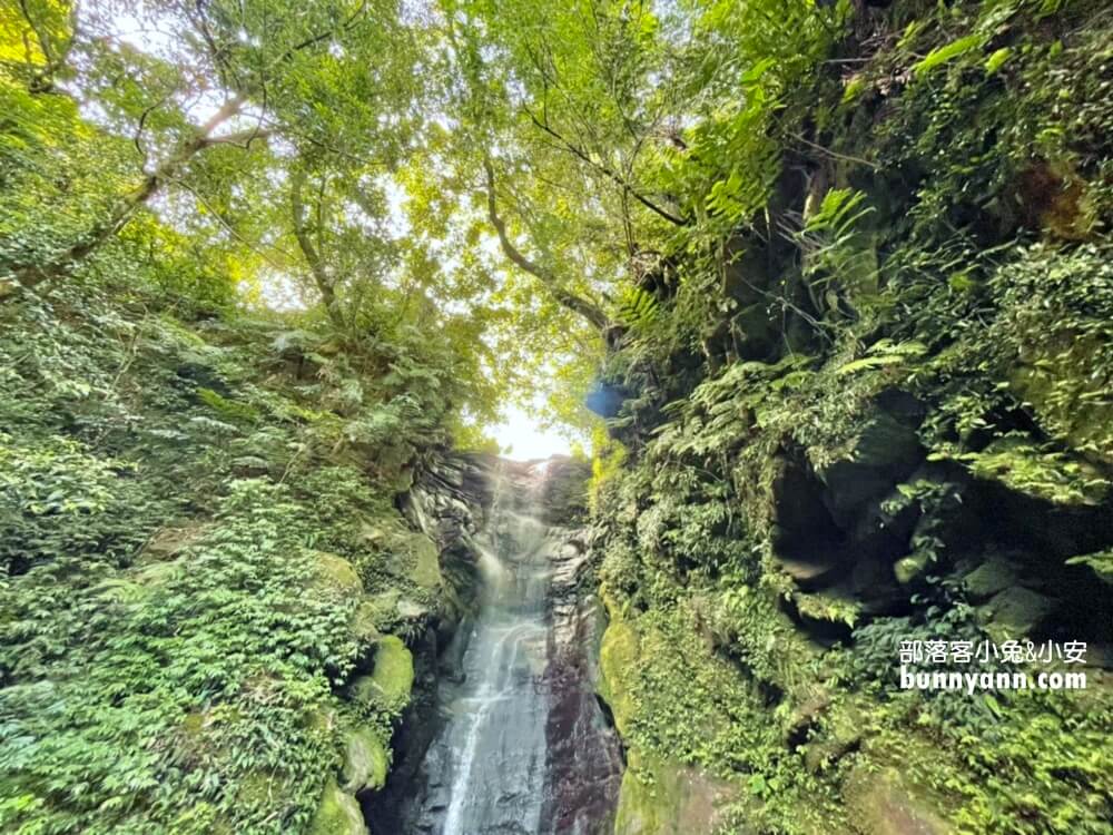 基隆【七堵泰安瀑布】來回大約30分鐘，終點是沁涼無比的森林瀑布