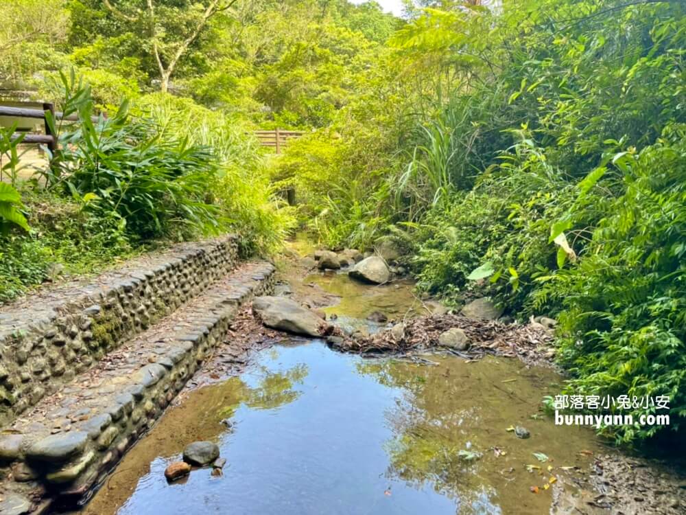 基隆【七堵泰安瀑布】來回大約30分鐘，終點是沁涼無比的森林瀑布