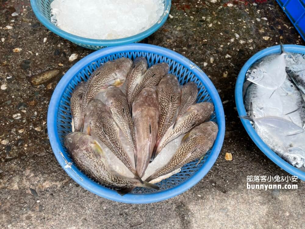 宜蘭頭城【大溪漁港】一日遊這樣玩不繞路，新鮮漁貨和美食一把抓