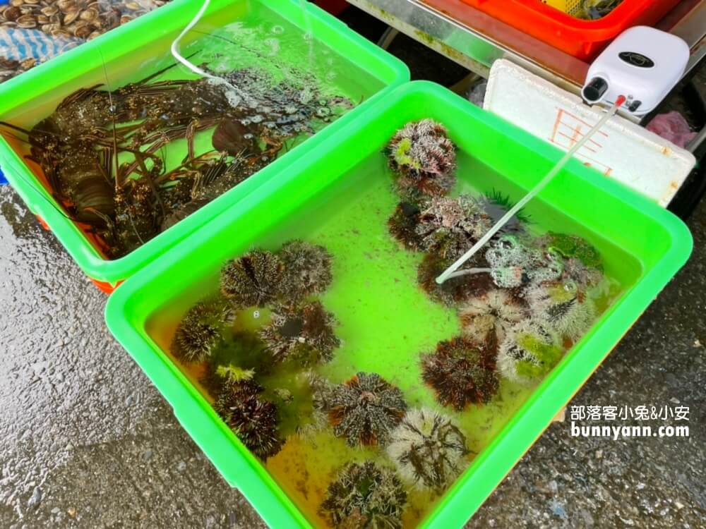 宜蘭頭城【大溪漁港】一日遊這樣玩不繞路，新鮮漁貨和美食一把抓