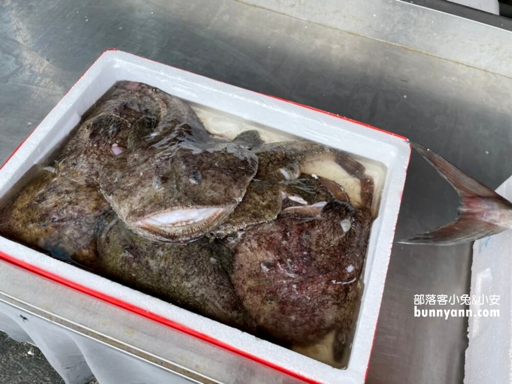 宜蘭頭城【大溪漁港】一日遊這樣玩不繞路，新鮮漁貨和美食一把抓