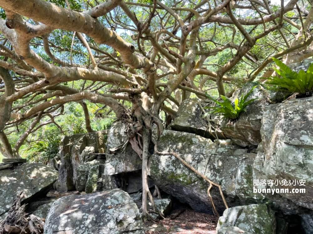 宜蘭景點【北關海潮公園】一線天秘境，超美的私房景點