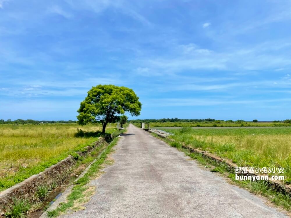 宜蘭景點》I SEE YOU，南澳金城武樹，美拍星空與油綠稻田伯朗大道~