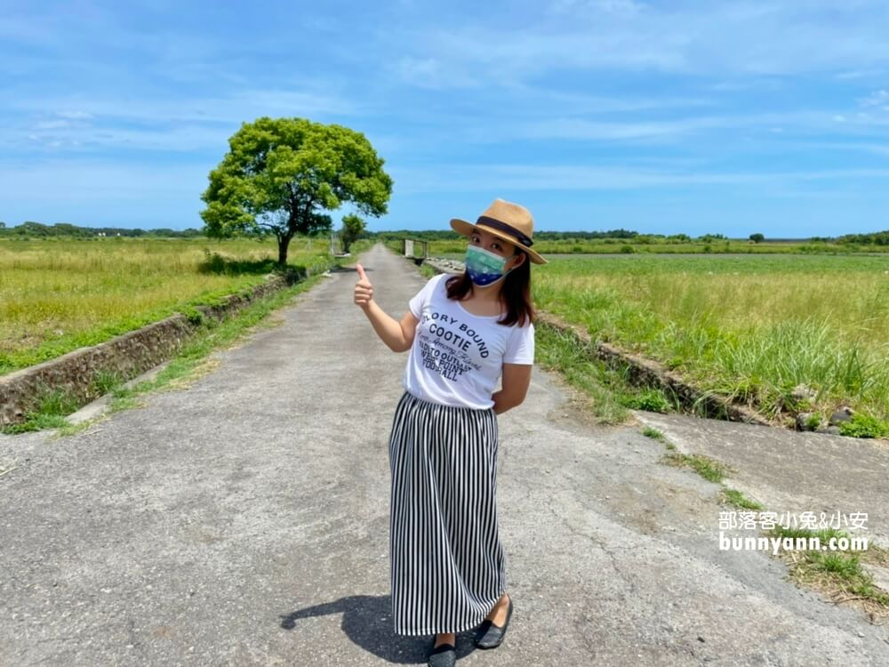宜蘭景點》I SEE YOU，南澳金城武樹，美拍星空與油綠稻田伯朗大道~