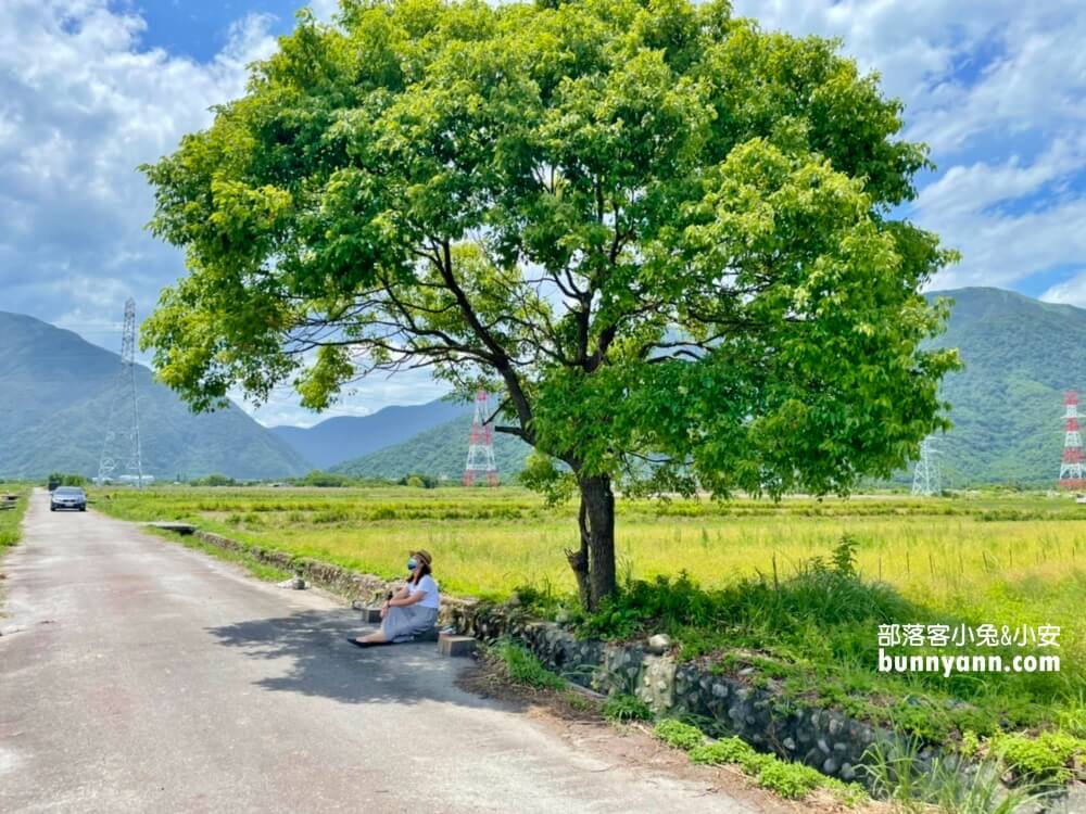 宜蘭景點》I SEE YOU，南澳金城武樹，美拍星空與油綠稻田伯朗大道~