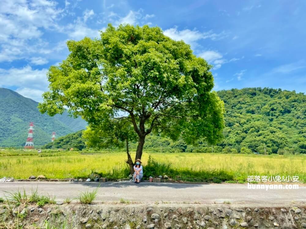 宜蘭景點》I SEE YOU，南澳金城武樹，美拍星空與油綠稻田伯朗大道~