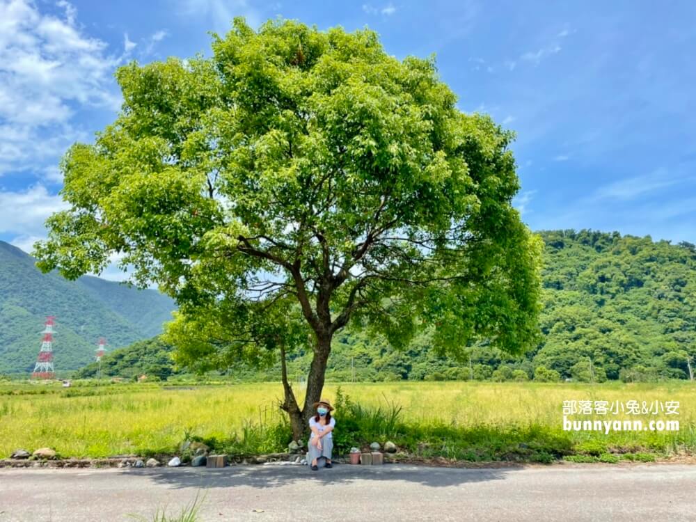 宜蘭景點》I SEE YOU，南澳金城武樹，美拍星空與油綠稻田伯朗大道~