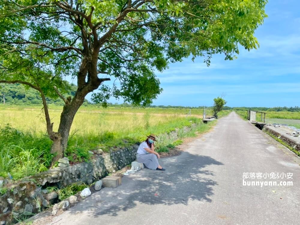 宜蘭景點》I SEE YOU，南澳金城武樹，美拍星空與油綠稻田伯朗大道~