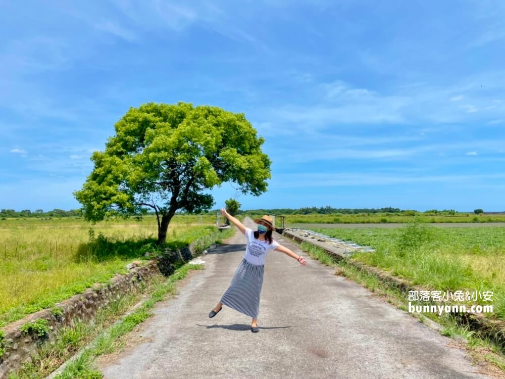 宜蘭景點》I SEE YOU，南澳金城武樹，美拍星空與油綠稻田伯朗大道~