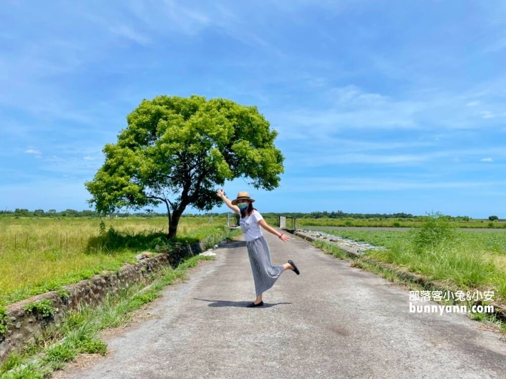 宜蘭景點》I SEE YOU，南澳金城武樹，美拍星空與油綠稻田伯朗大道~