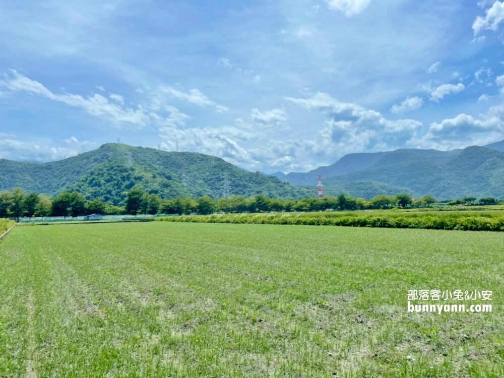 宜蘭景點》I SEE YOU，南澳金城武樹，美拍星空與油綠稻田伯朗大道~