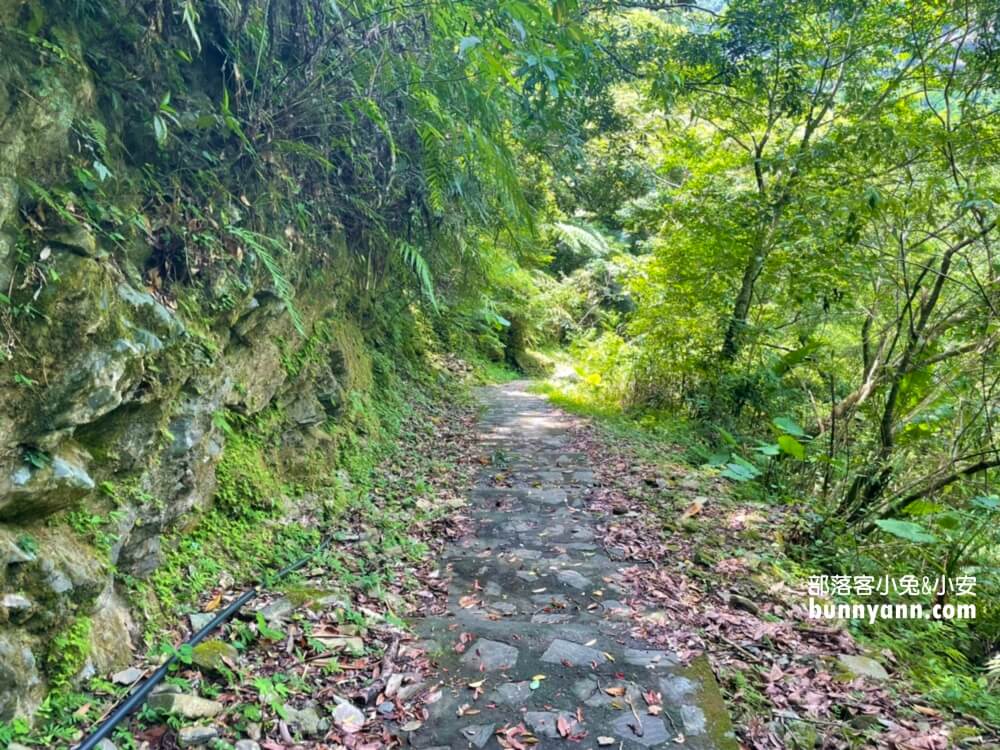 澳花瀑布｜仙境版超美森林瀑布，南澳登山健走賞飛瀑好地方