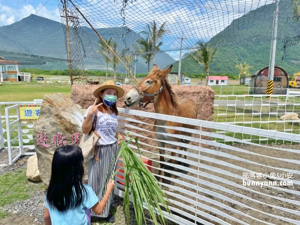 花蓮景點》崇德瑩農場，散步在紐西蘭牛牧場(2023門票)