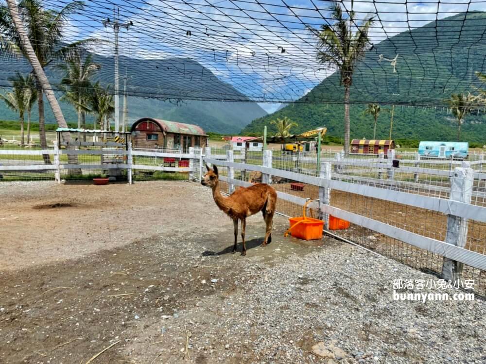 花蓮景點》崇德瑩農場，散步在紐西蘭牛牧場(2023門票)
