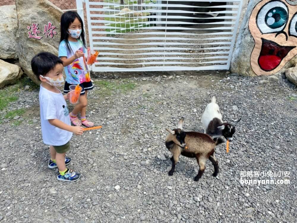 花蓮景點》崇德瑩農場，散步在紐西蘭牛牧場(2023門票)