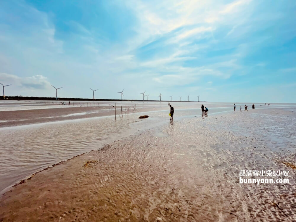 台中高美濕地一日遊！步道開放時間、附近景點這樣玩不無聊