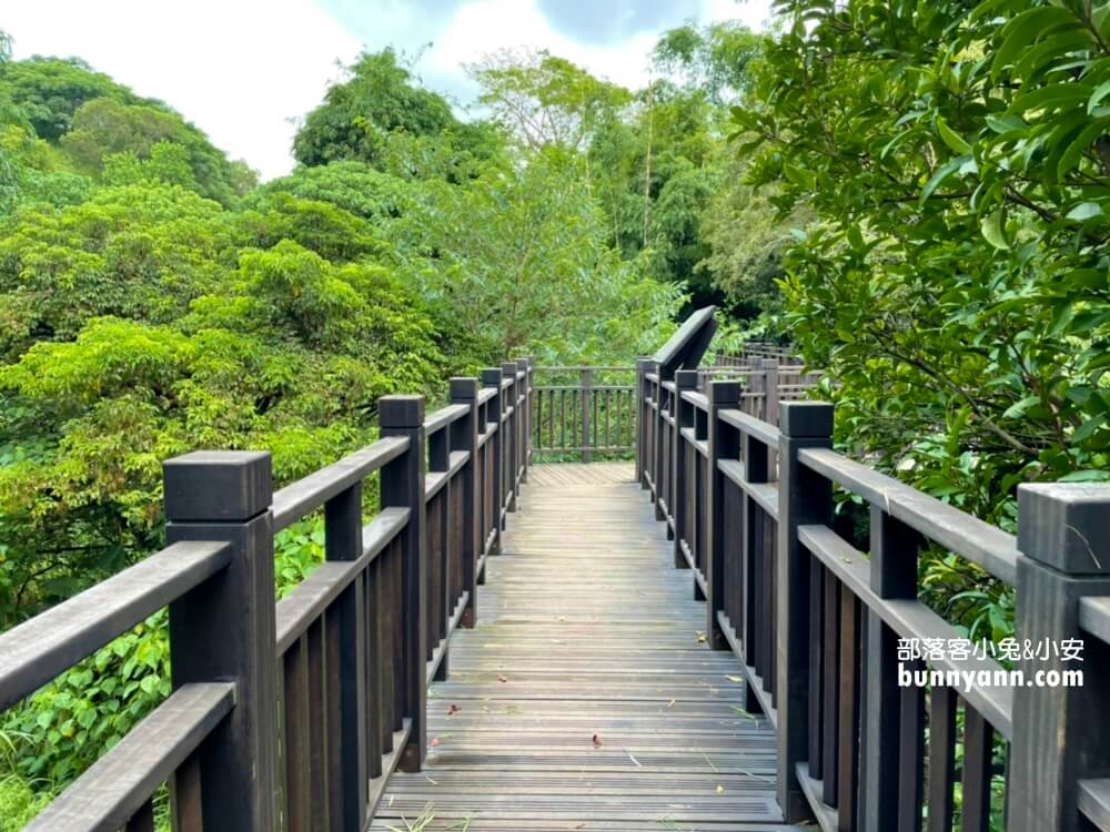 台中烏日知高圳步道，漫遊森林水圳步道，登山肉腳也能輕鬆走