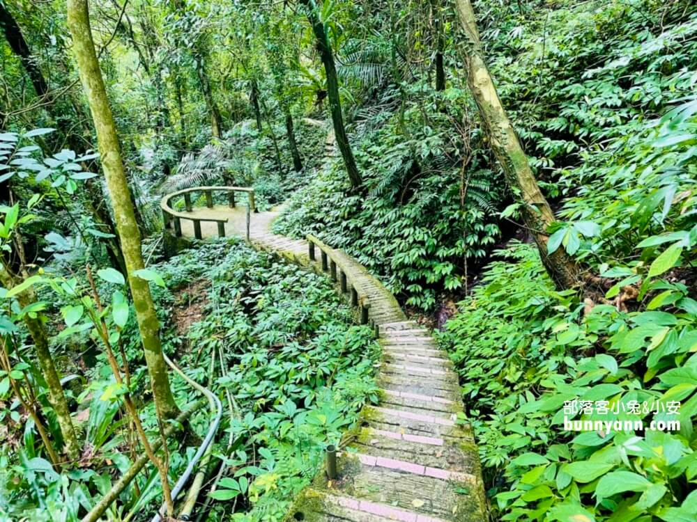 台北【炮子崙瀑布】秘境版超美山澗瀑布，來回半小時輕鬆走