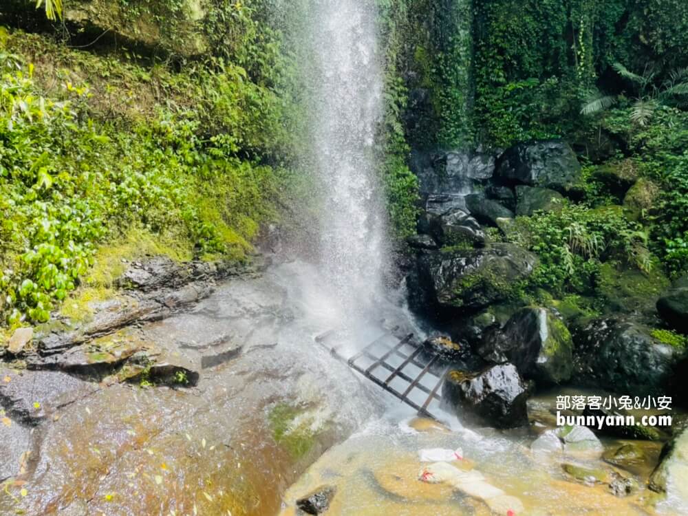 新北【炮子崙瀑布】從入口只要走15分鐘就能夠抵達觀瀑平台