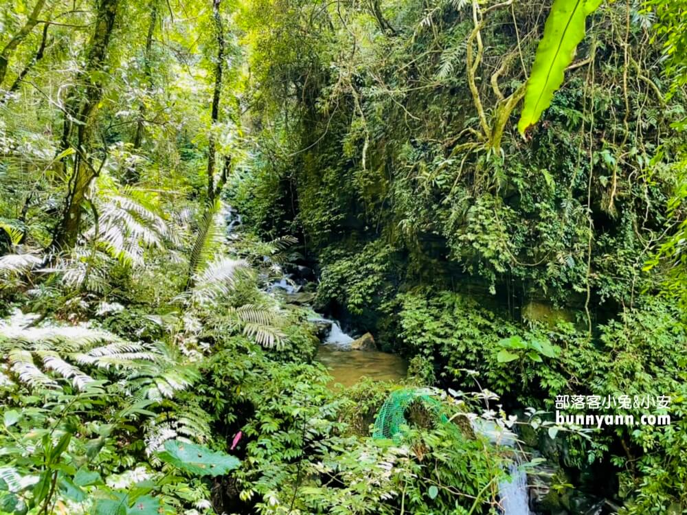 新北【炮子崙瀑布】從入口只要走15分鐘就能夠抵達觀瀑平台