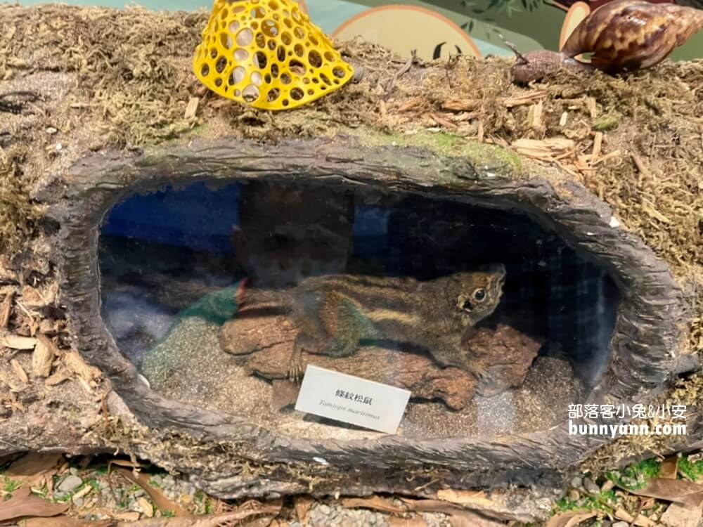 三峽【滿月圓國家森林遊樂區】來回兩小時輕鬆走賞瀑步道，停車資訊整理