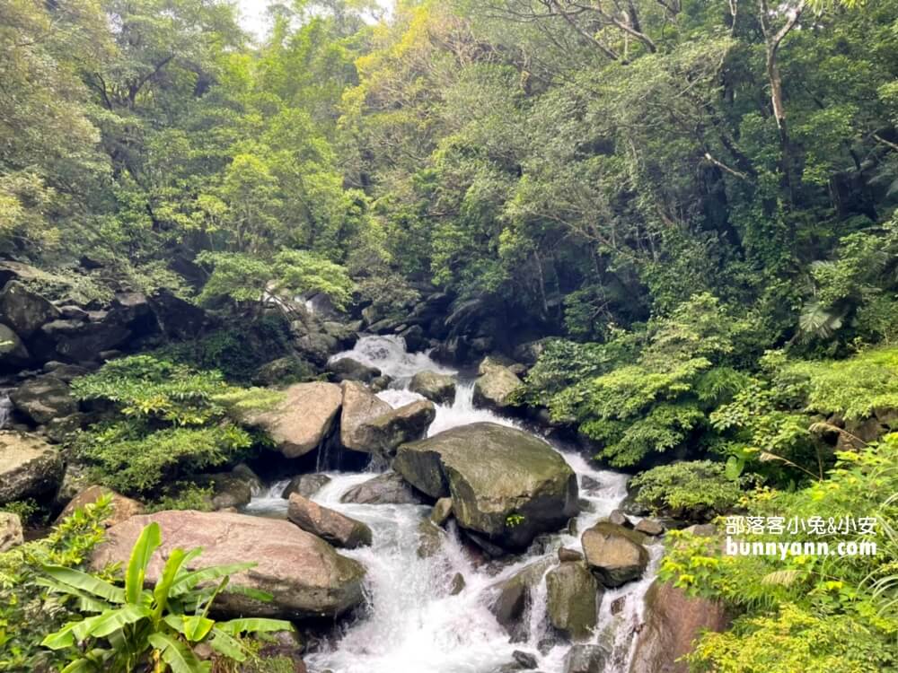 三峽【滿月圓國家森林遊樂區】來回兩小時輕鬆走賞瀑步道，停車資訊整理