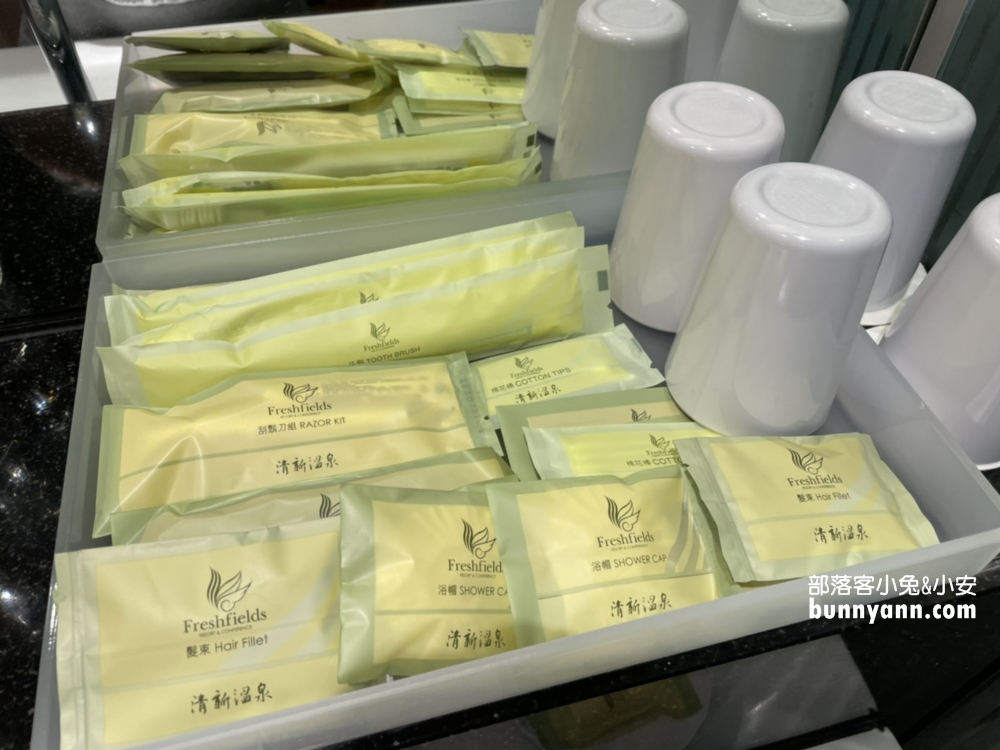 烏日住宿【清新溫泉飯店】眺望城市美景一泊二食介紹這樣住一晚！