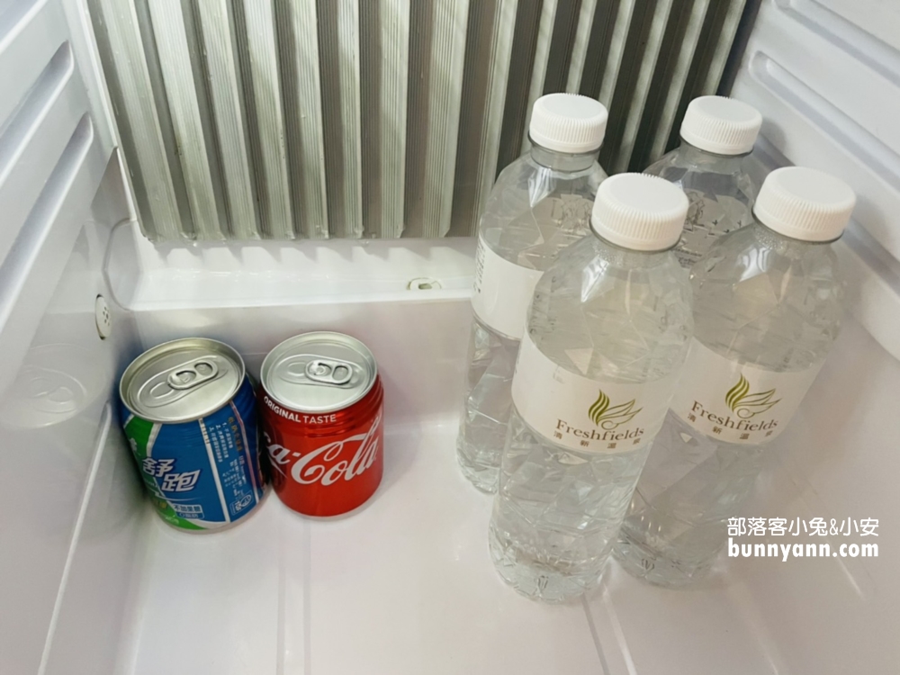 烏日住宿【清新溫泉飯店】眺望城市美景一泊二食介紹這樣住一晚！
