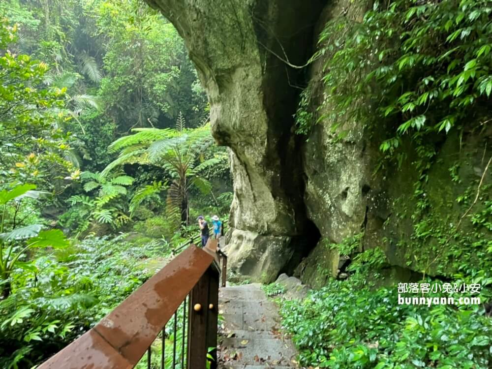 桃園【三民蝙蝠洞】拉拉山私房森林鋪瀑布步道景點
