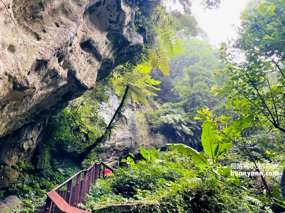 桃園【三民蝙蝠洞】拉拉山私房森林鋪瀑布步道景點