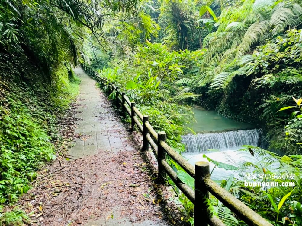 桃園【三民蝙蝠洞】拉拉山私房森林鋪瀑布步道景點