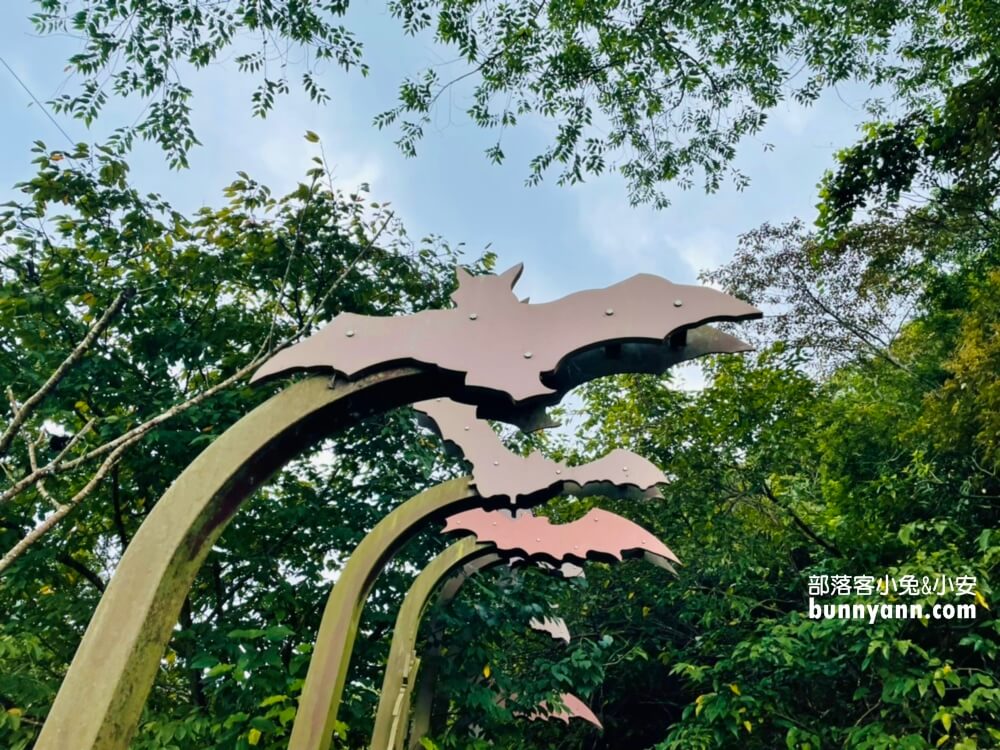 桃園【三民蝙蝠洞】拉拉山私房森林鋪瀑布步道景點